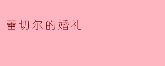 蕾切尔的婚礼