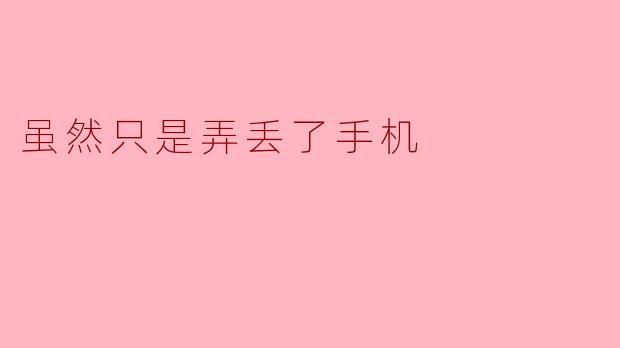 虽然只是弄丢了手机
