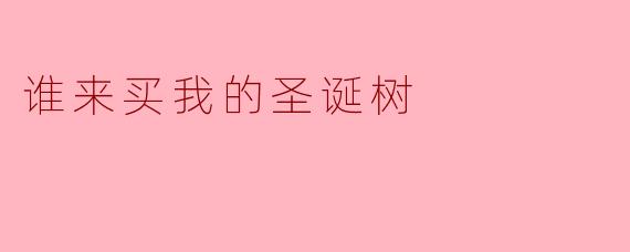 谁来买我的圣诞树
