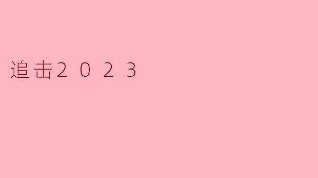 追击2023