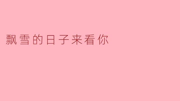 飘雪的日子来看你