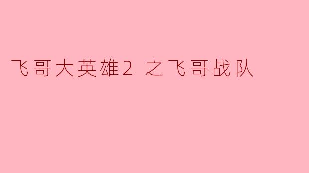 飞哥大英雄2之飞哥战队