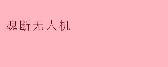 魂断无人机