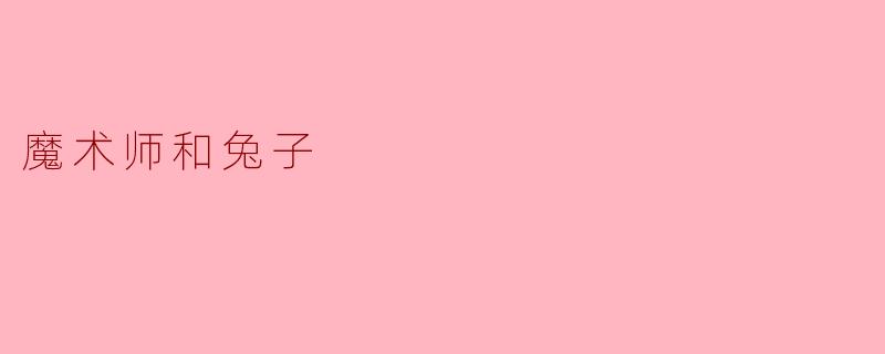 魔术师和兔子