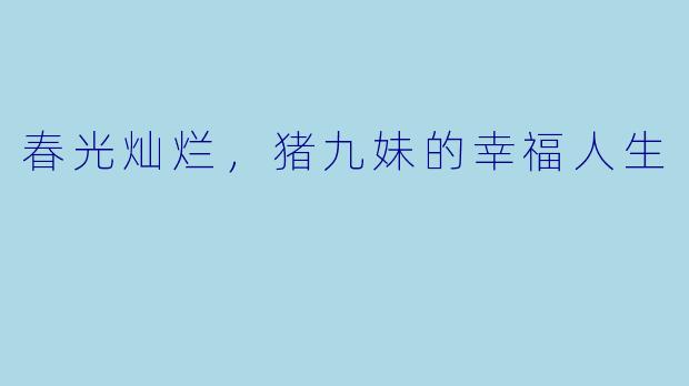 春光灿烂，猪九妹的幸福人生