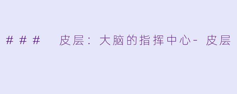 ### 皮层：大脑的指挥中心-皮层