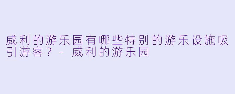 威利的游乐园有哪些特别的游乐设施吸引游客？