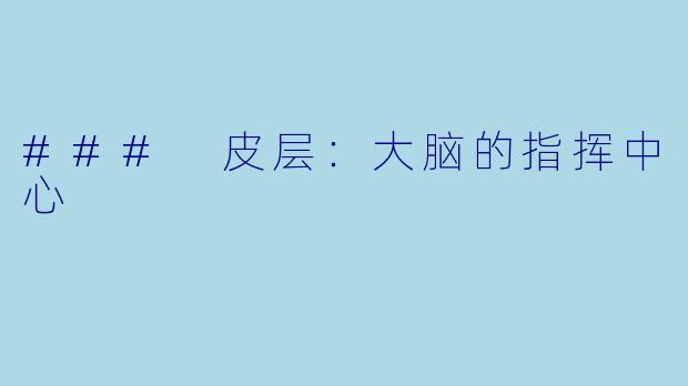 ### 皮层:大脑的指挥中心