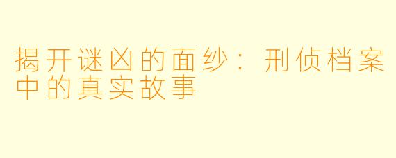 揭开谜凶的面纱：刑侦档案中的真实故事