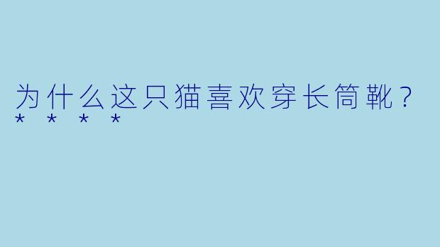 为什么这只猫喜欢穿长筒靴？****