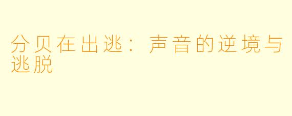 分贝在出逃：声音的逆境与逃脱