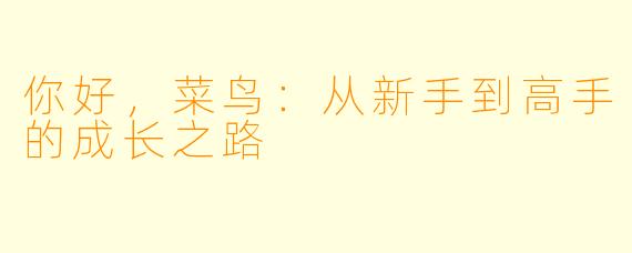你好，菜鸟：从新手到高手的成长之路