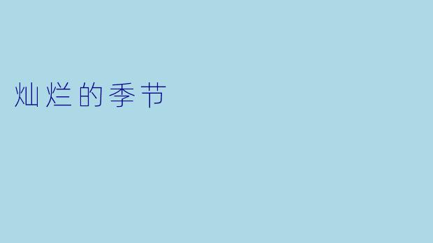 灿烂的季节