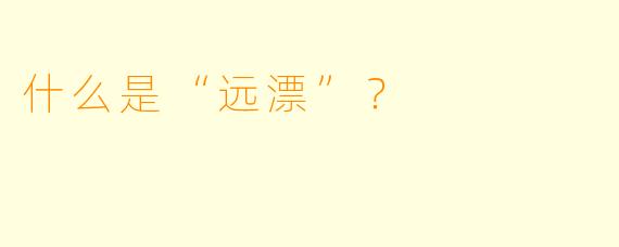 什么是“远漂”？  