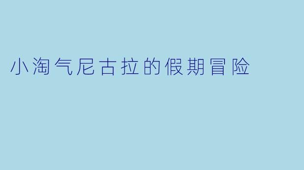 小淘气尼古拉的假期冒险