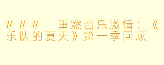 ### 重燃音乐激情:《乐队的夏天》第一季回顾