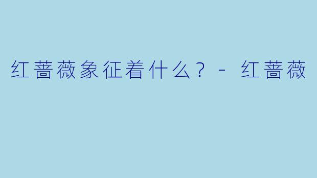 红蔷薇象征着什么？