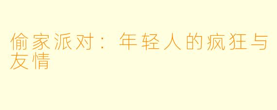 偷家派对：年轻人的疯狂与友情