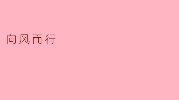 什么是“向风而行”的精神？****
