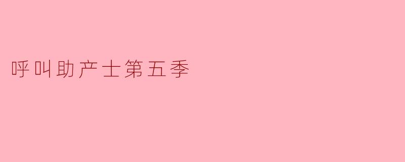 呼叫助产士第五季