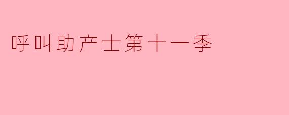 呼叫助产士第十一季
