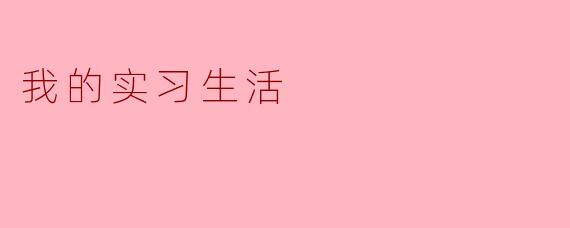 我的实习生活