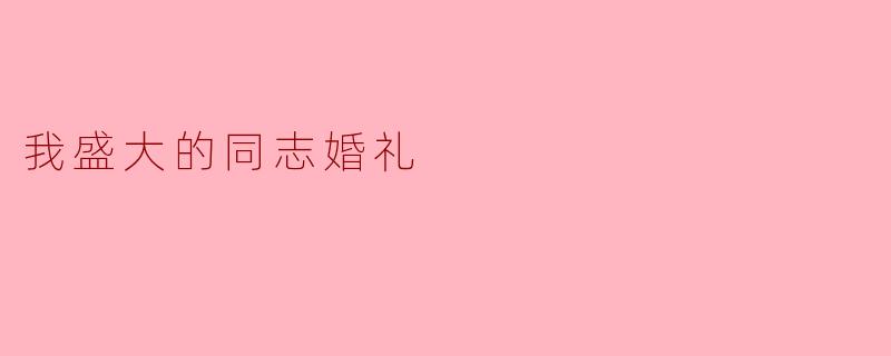 我盛大的同志婚礼
