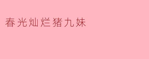 春光灿烂猪九妹