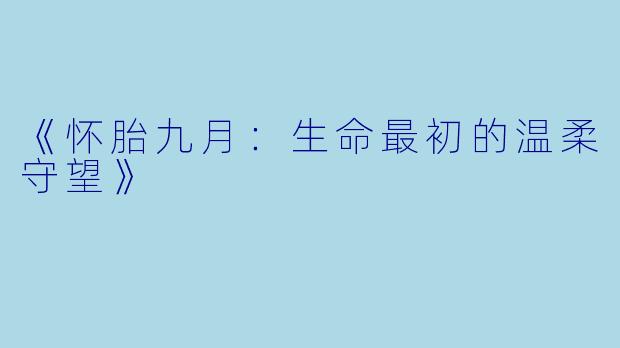 《怀胎九月：生命最初的温柔守望》