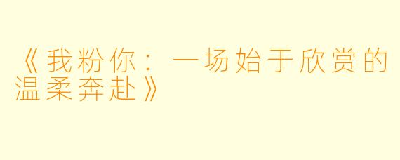 《我粉你：一场始于欣赏的温柔奔赴》