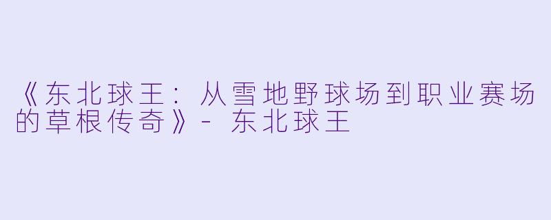 《东北球王：从雪地野球场到职业赛场的草根传奇》-东北球王