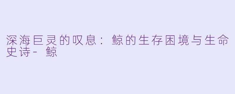 深海巨灵的叹息：鲸的生存困境与生命史诗-鲸