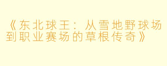 《东北球王：从雪地野球场到职业赛场的草根传奇》
