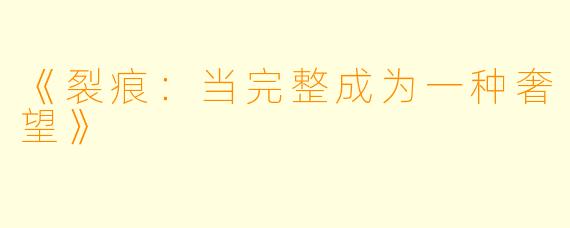 《裂痕：当完整成为一种奢望》
