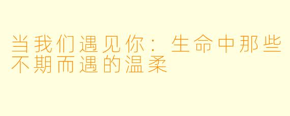 当我们遇见你：生命中那些不期而遇的温柔