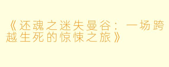 《还魂之迷失曼谷：一场跨越生死的惊悚之旅》