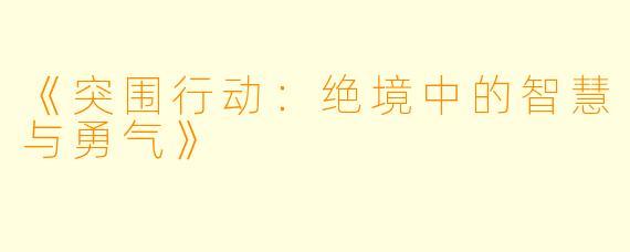 《突围行动：绝境中的智慧与勇气》