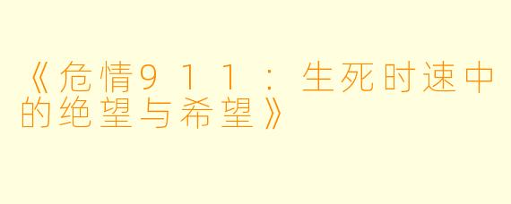 《危情911：生死时速中的绝望与希望》