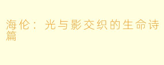 海伦：光与影交织的生命诗篇
