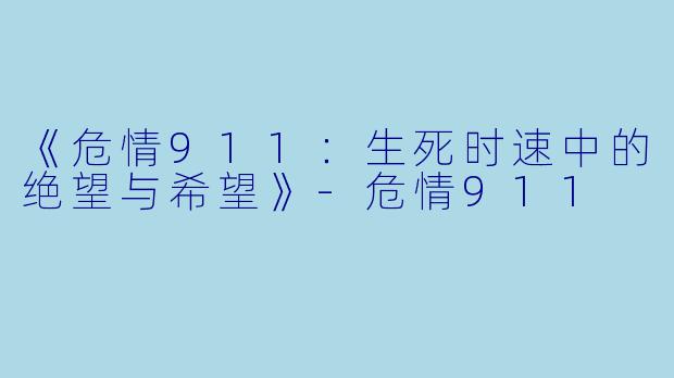 《危情911:生死时速中的绝望与希望》