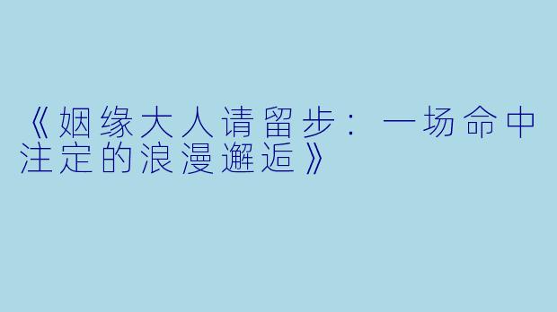 《姻缘大人请留步：一场命中注定的浪漫邂逅》
