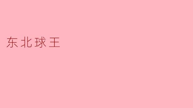 东北球王