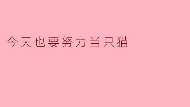 今天也要努力当只猫