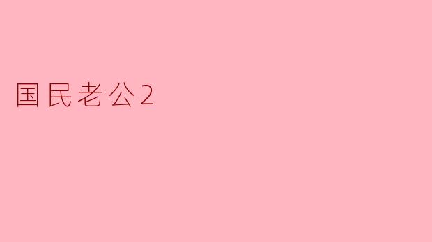 国民老公2
