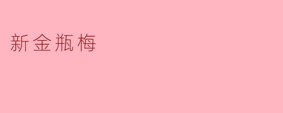 新金瓶梅