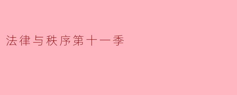 《法律与秩序》第十一季的主要剧情和案件有哪些亮点？