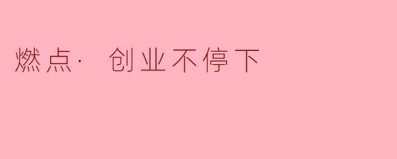 《燃点·创业不停下:在时代浪潮中永葆炽热初心》