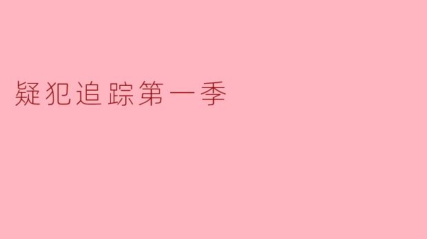 疑犯追踪第一季