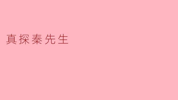 真探秦先生