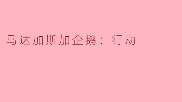 《马达加斯加企鹅：行动》中，四只企鹅的团队名称是什么？